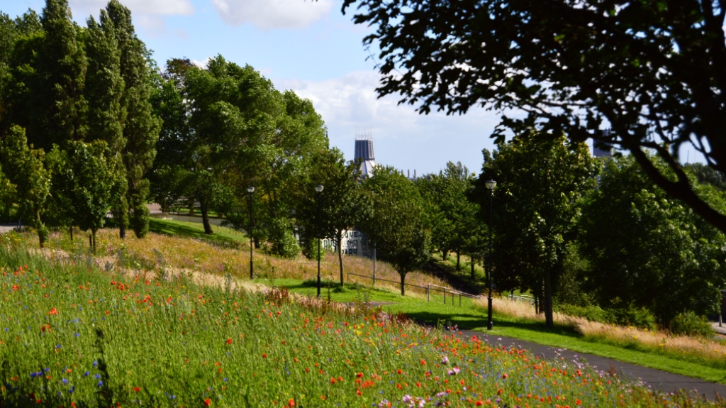 Everton park