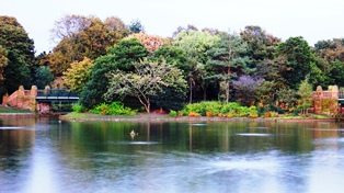 picture of stanley park